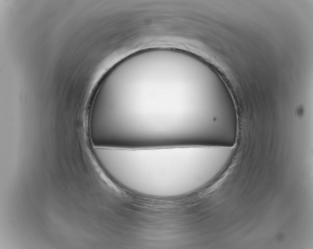 X0000094171517200710260857