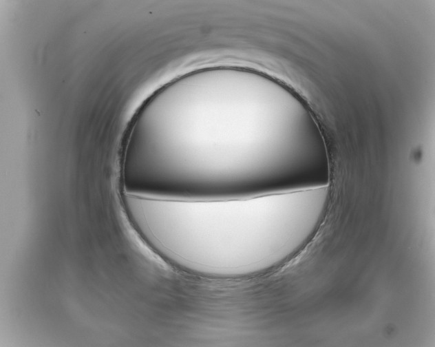 X0000094171518200710260857