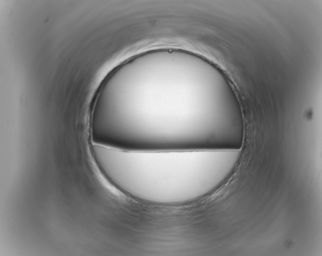 X0000094171519200710260857