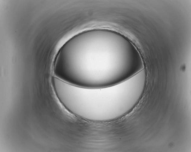 X0000094171520200710260857