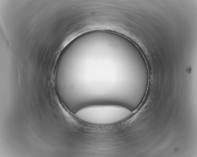 X0000094171521200710260857