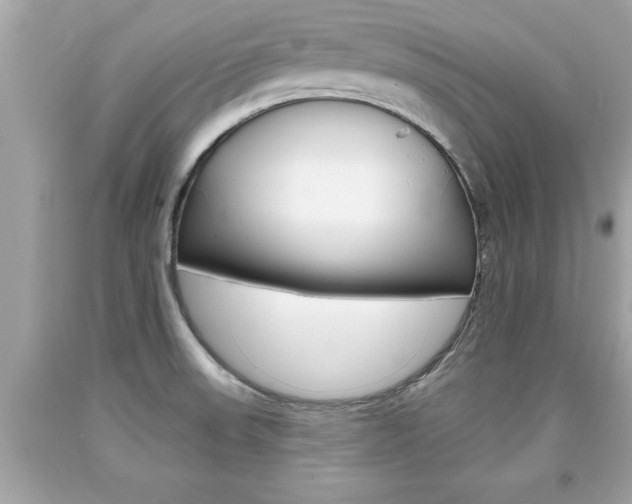 X0000094171523200710260857