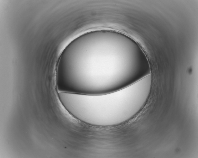 X0000094171524200710260857