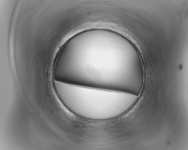 X0000094171525200710260857