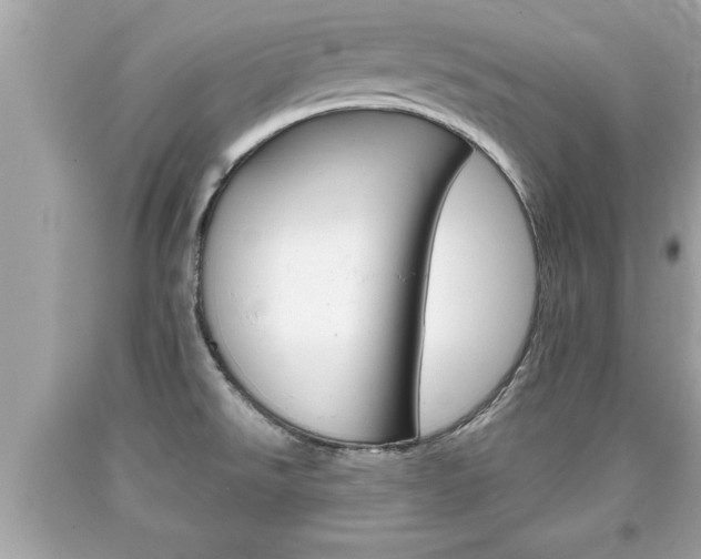 X0000094171526200710260857