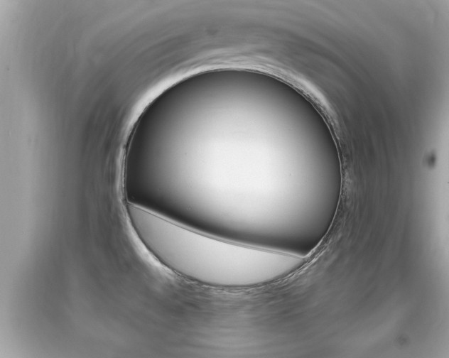 X0000094171528200710260857