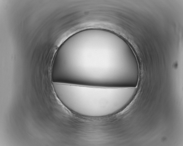 X0000094171529200710260857