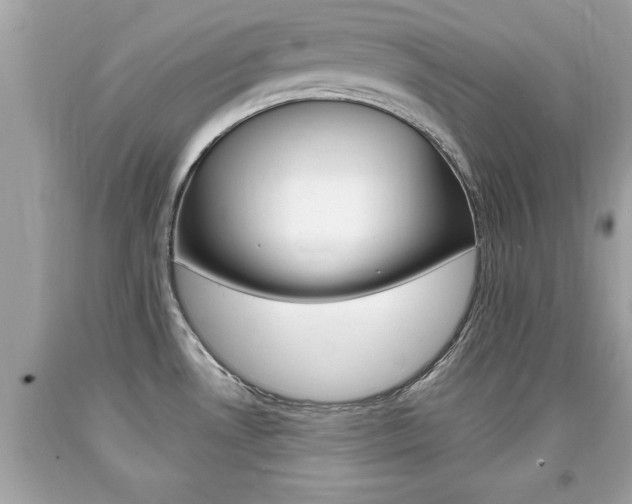 X0000094171530200710260857