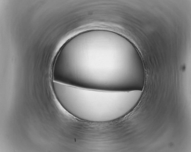 X0000094171531200710260858