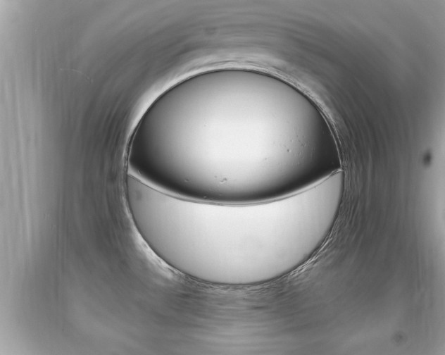 X0000094171532200710260858
