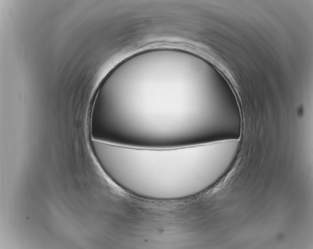 X0000094171533200710260858