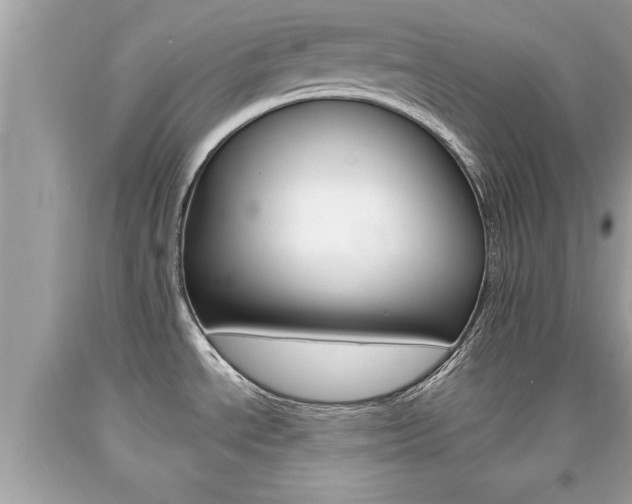 X0000094171534200710260858