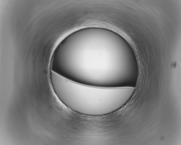 X0000094171536200710260858