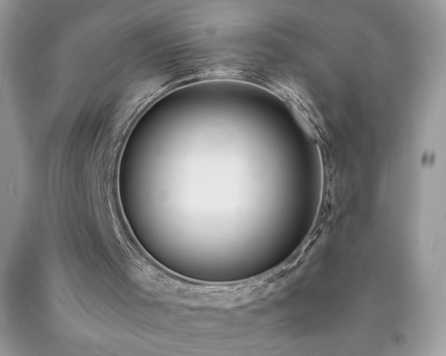X0000094170001200710261119