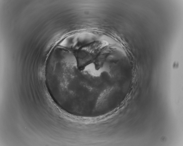 X0000094170002200710261119