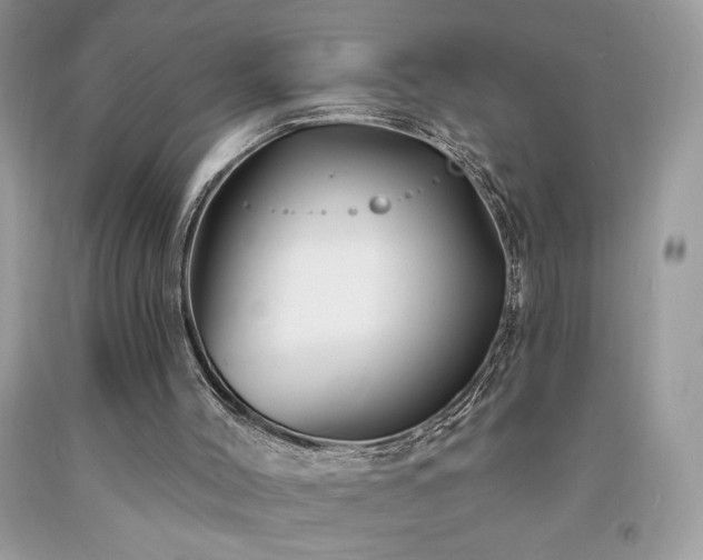 X0000094170004200710261119