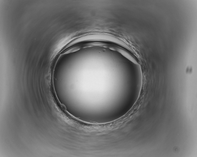 X0000094170005200710261119
