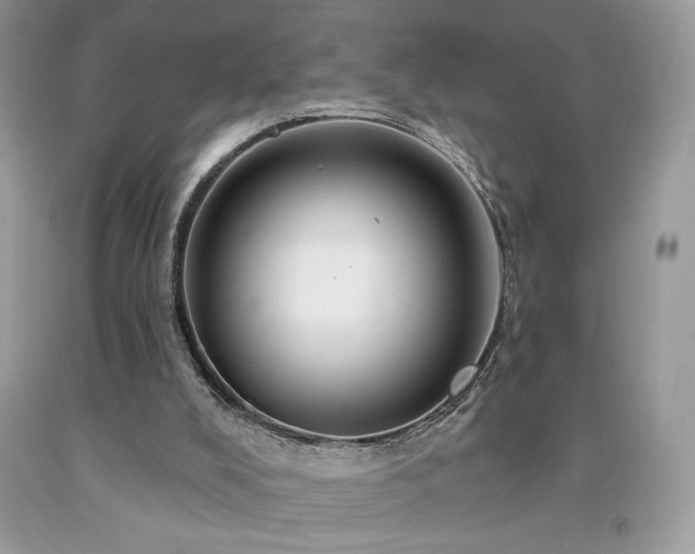 X0000094170008200710261119