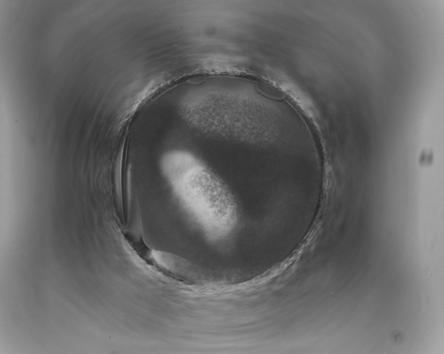 X0000094170009200710261119