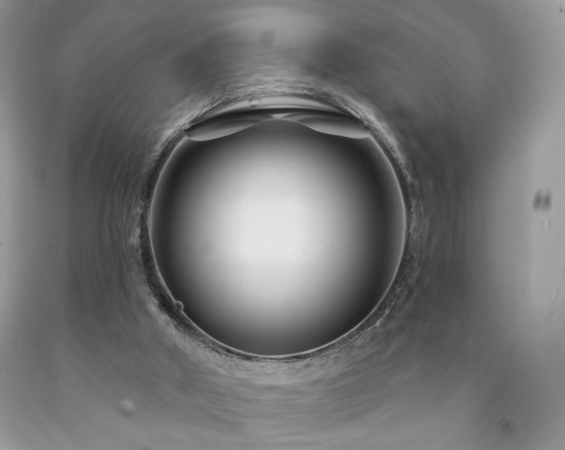 X0000094170010200710261119