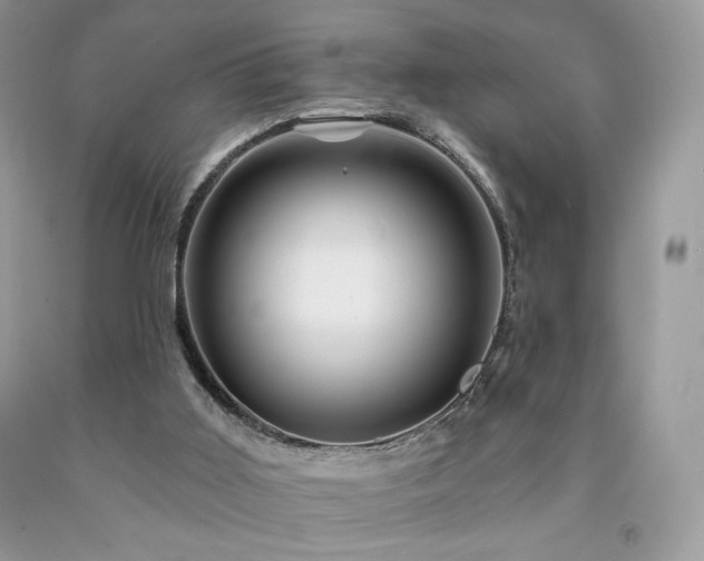 X0000094170011200710261119