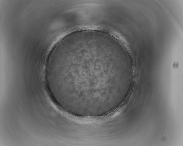 X0000094170012200710261119