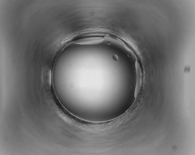 X0000094170013200710261119