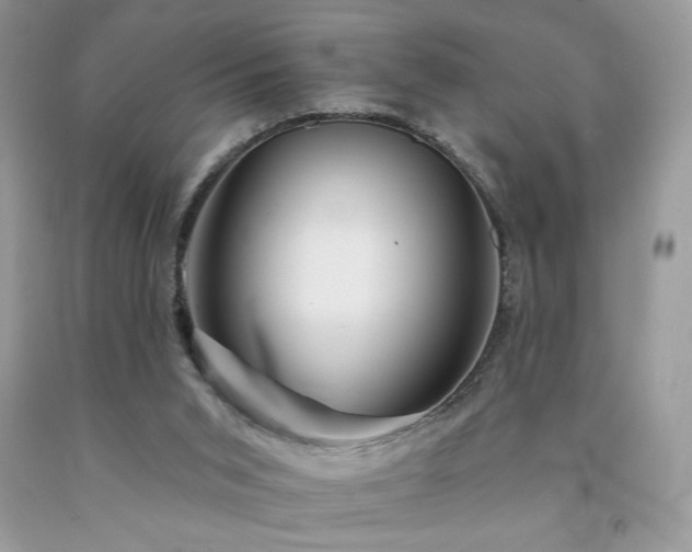 X0000094170015200710261119