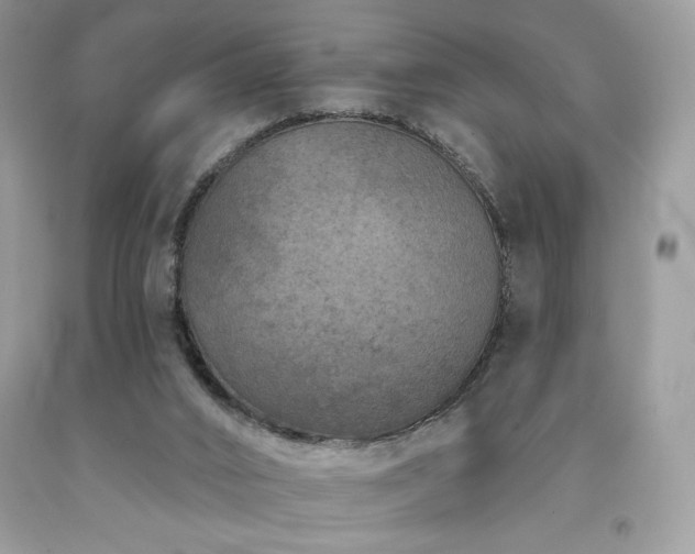 X0000094170016200710261119