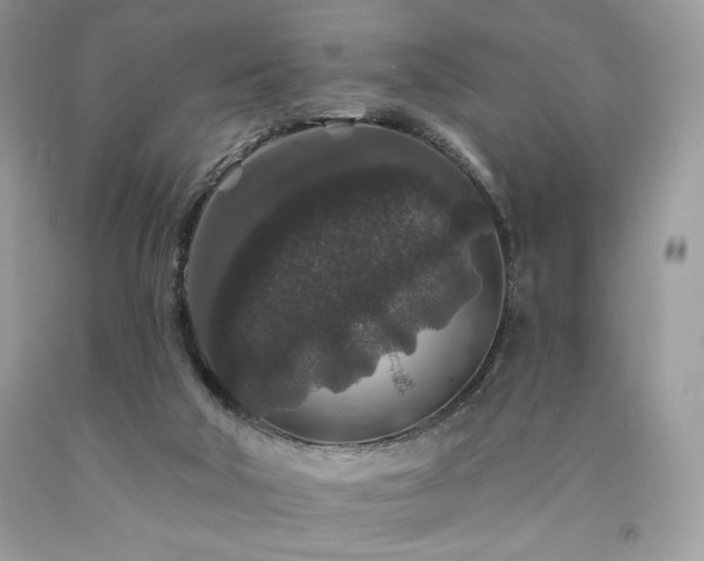 X0000094170018200710261119