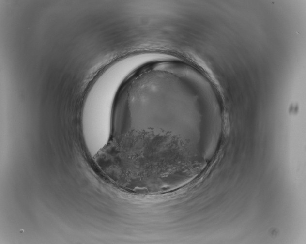 X0000094170019200710261119