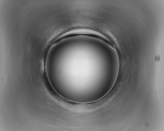 X0000094170020200710261119