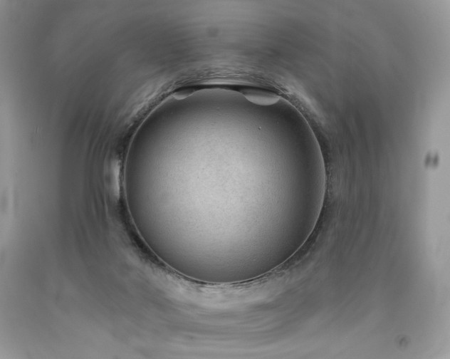 X0000094170022200710261119