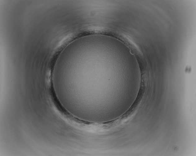 X0000094170024200710261119