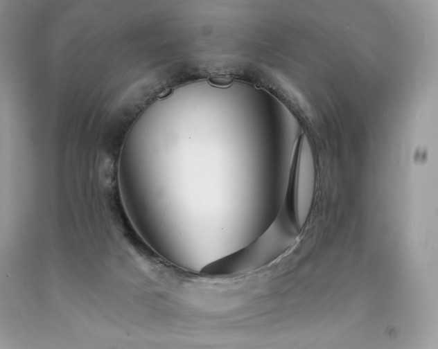 X0000094170025200710261119
