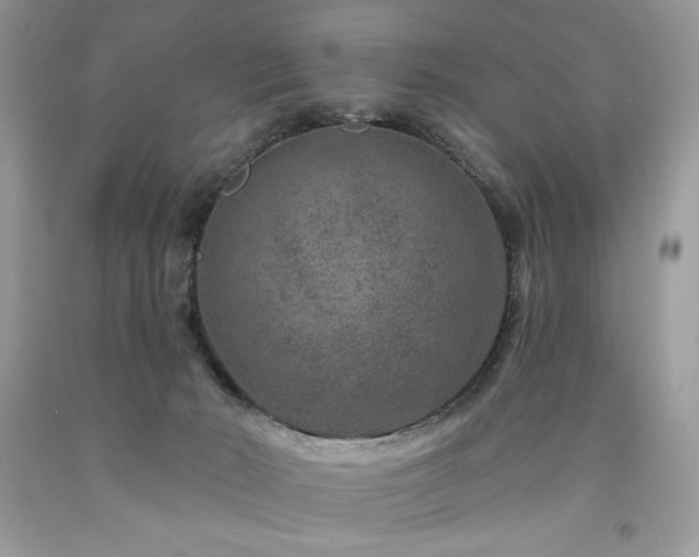 X0000094170030200710261119