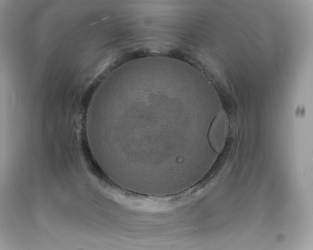 X0000094170032200710261119