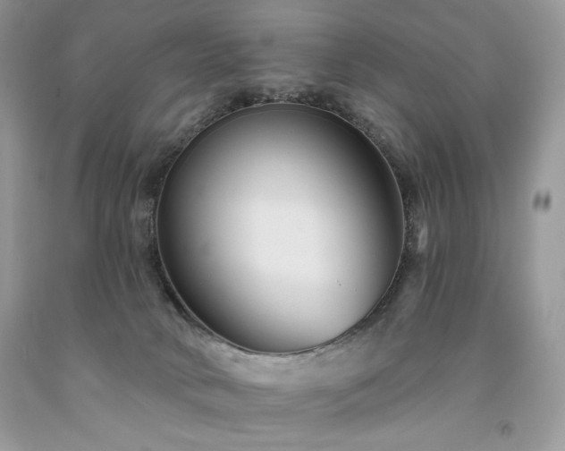 X0000094170034200710261119