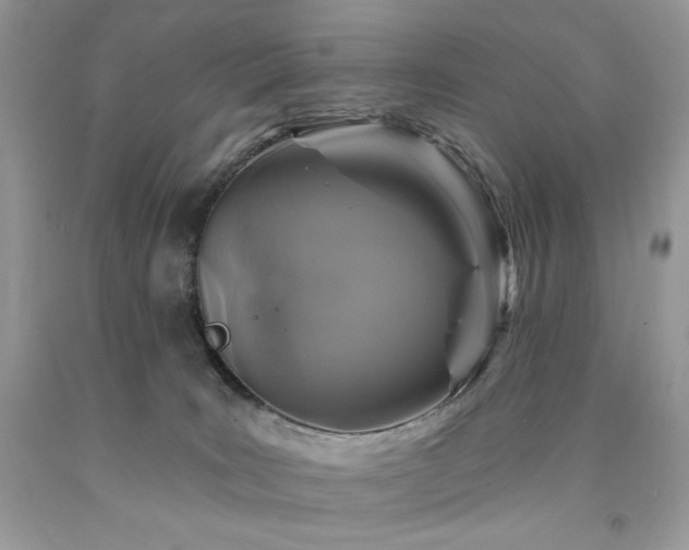 X0000094170035200710261119