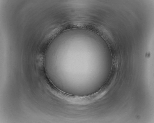 X0000094170036200710261119