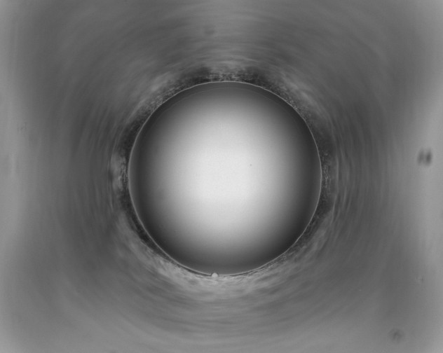 X0000094170038200710261119