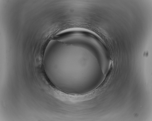 X0000094170039200710261119