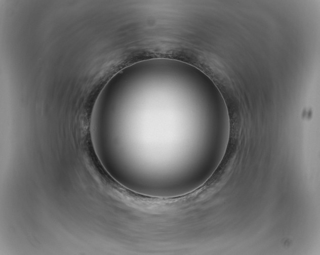 X0000094170040200710261119