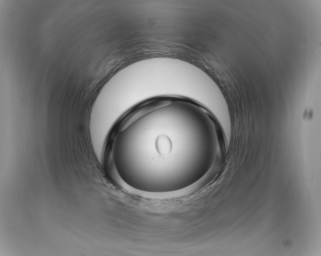 X0000094170041200710261119