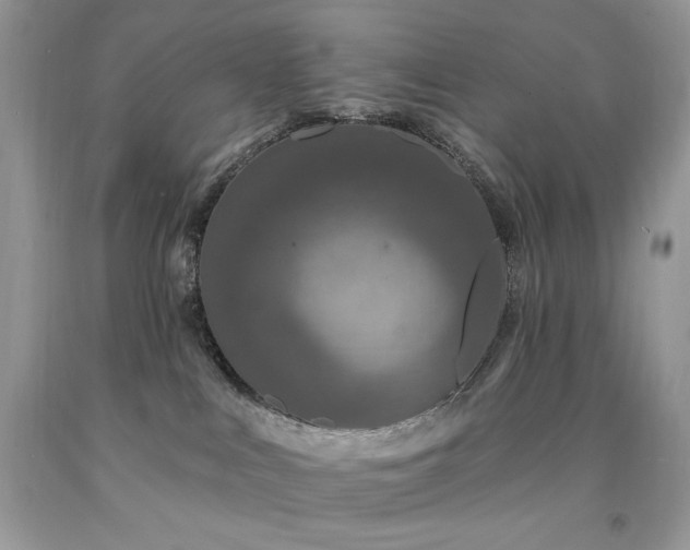 X0000094170043200710261119