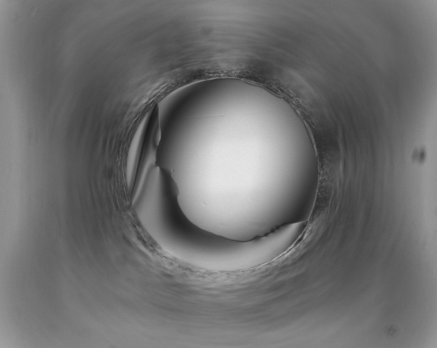 X0000094170045200710261119