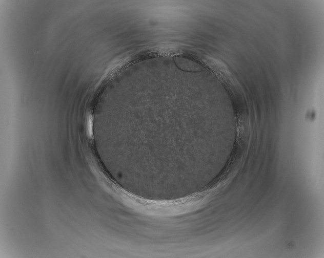 X0000094170046200710261119