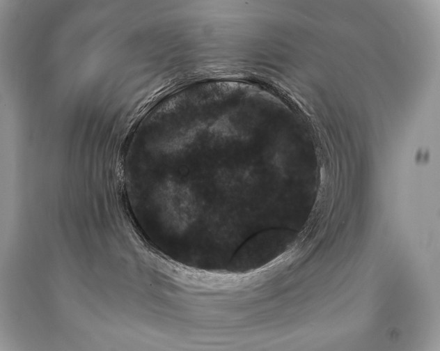 X0000094170048200710261119