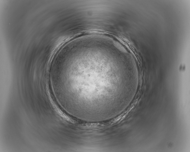 X0000094170049200710261118