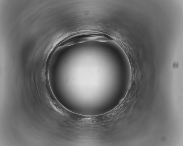 X0000094170050200710261118